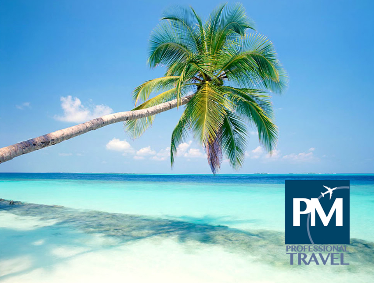 PMPTravel
    